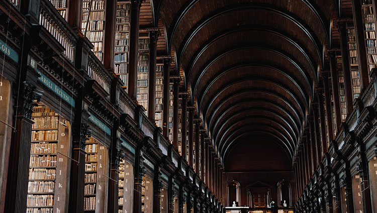 interior in large library